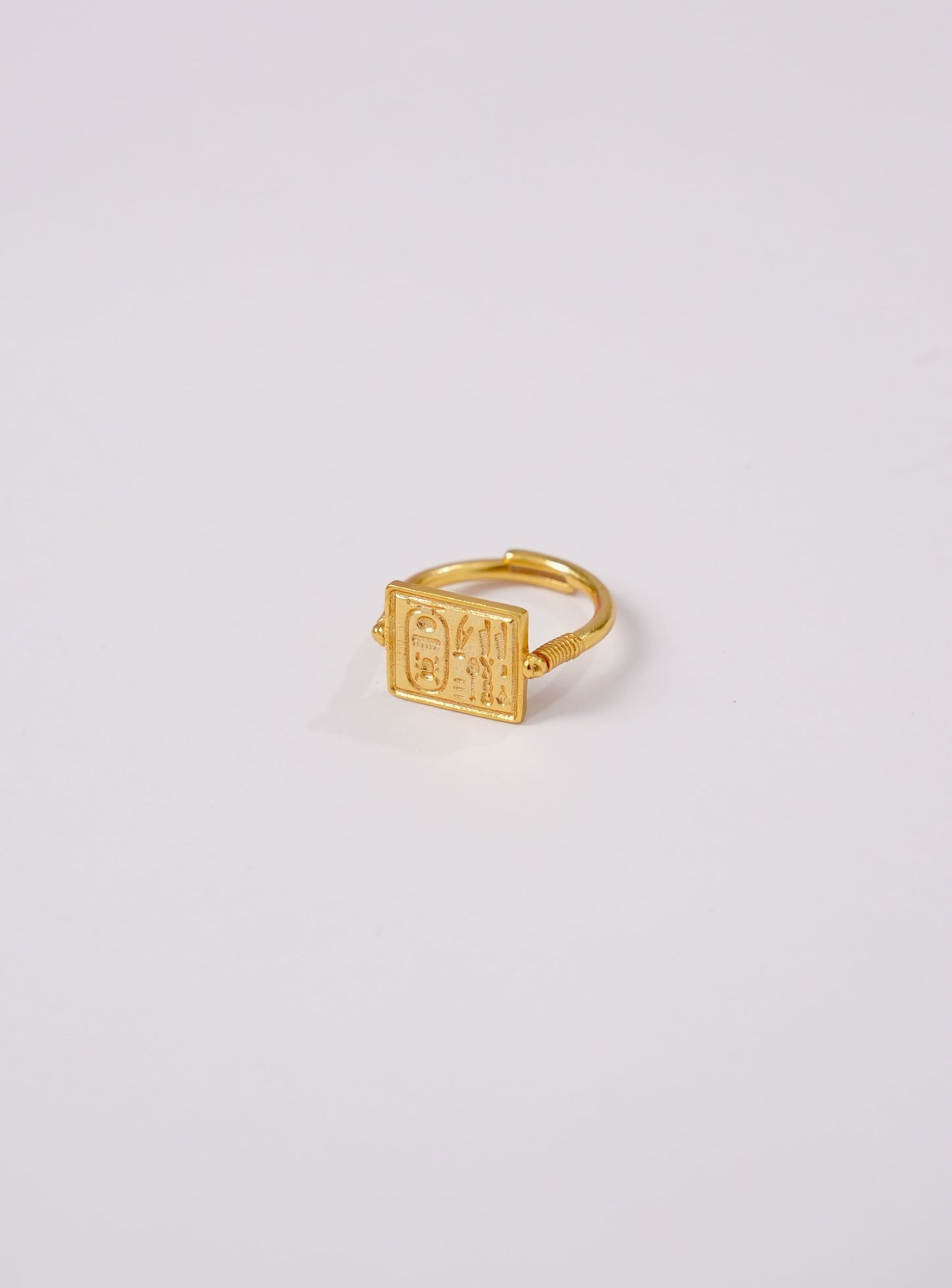 Ashwa Ring