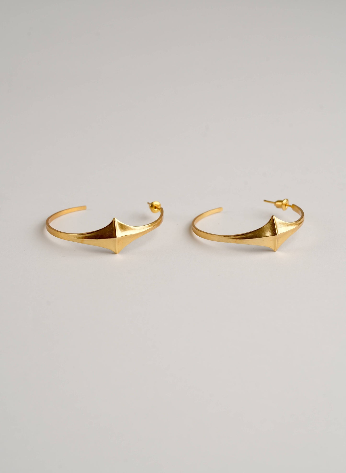 Erica Hoops