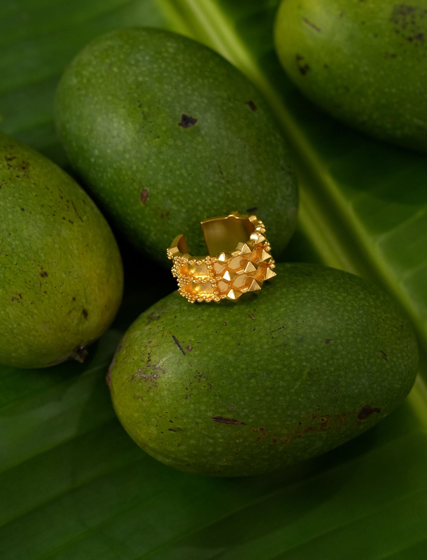 Kumbh Ring