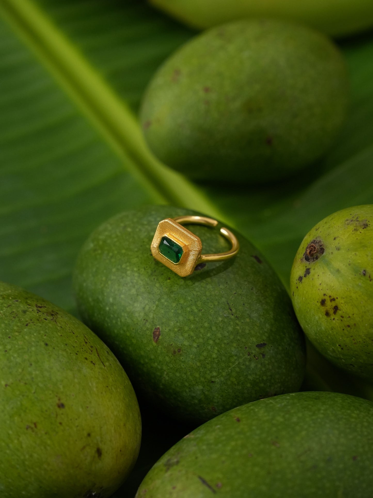 Ojas Ring