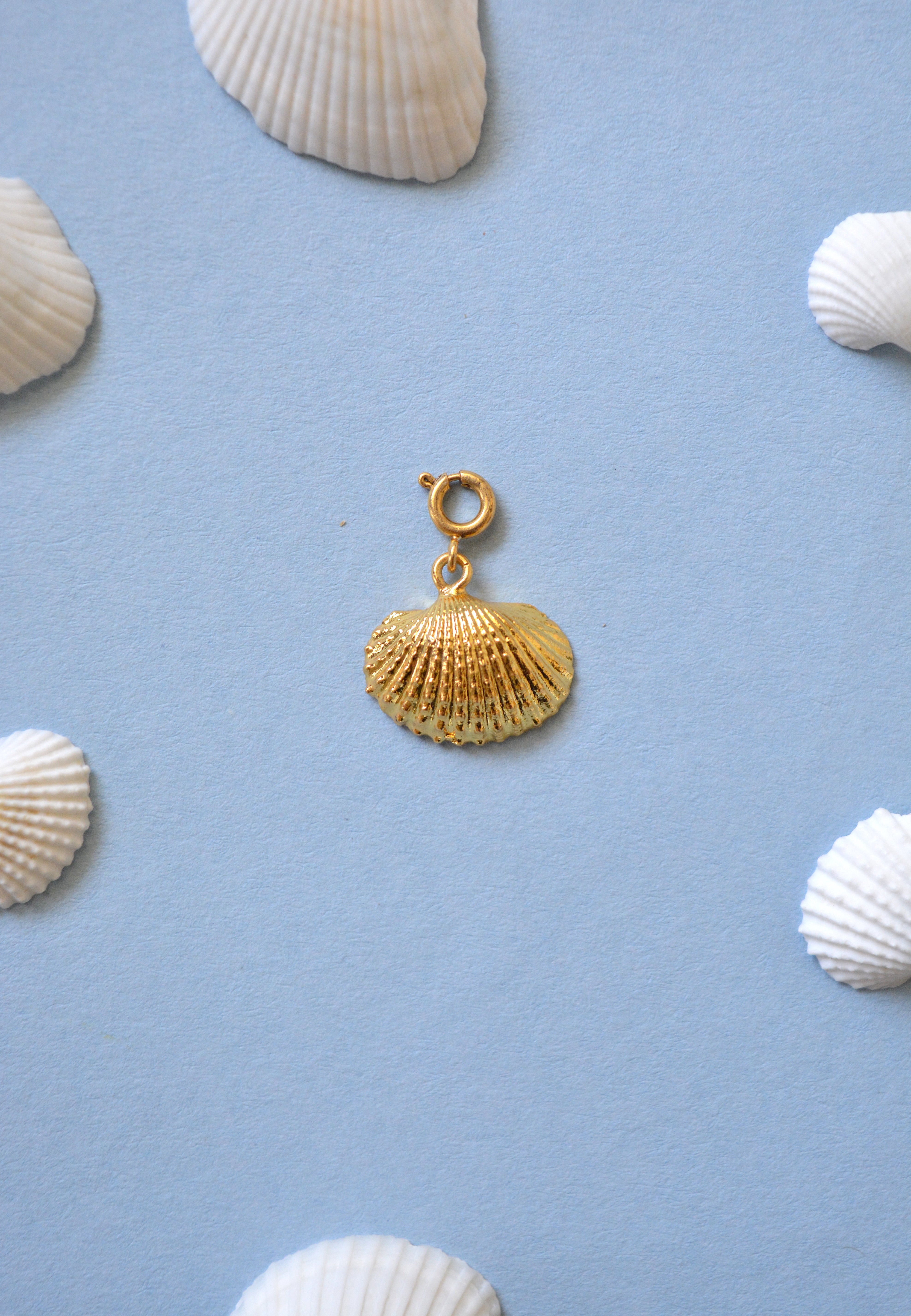Ark Shell Charm - Gold – Tangerine Bio Jewelry