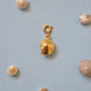 Sundial Shell Charm - Gold