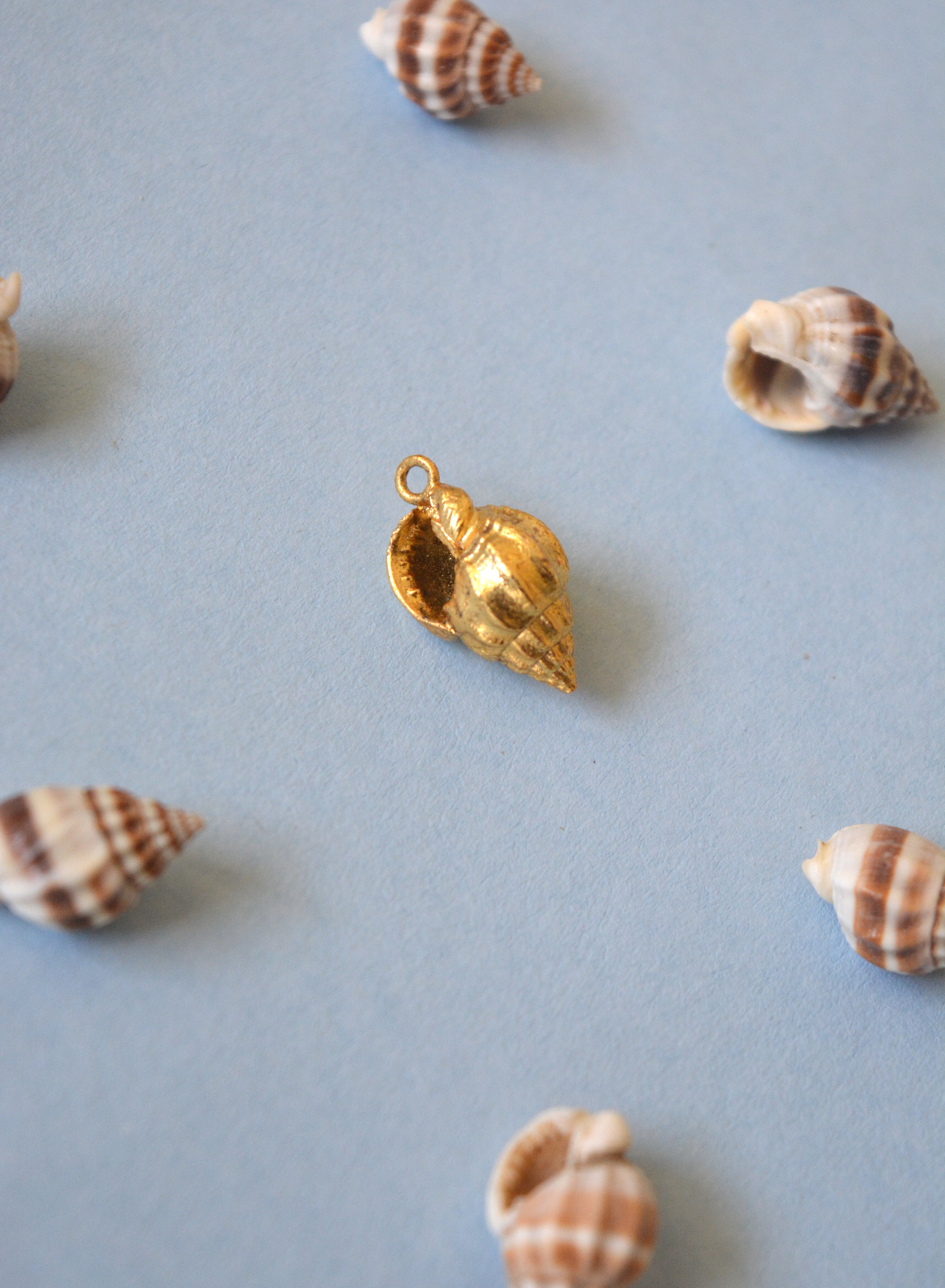 Dove Shell Charm - Gold – Tangerine Bio Jewelry