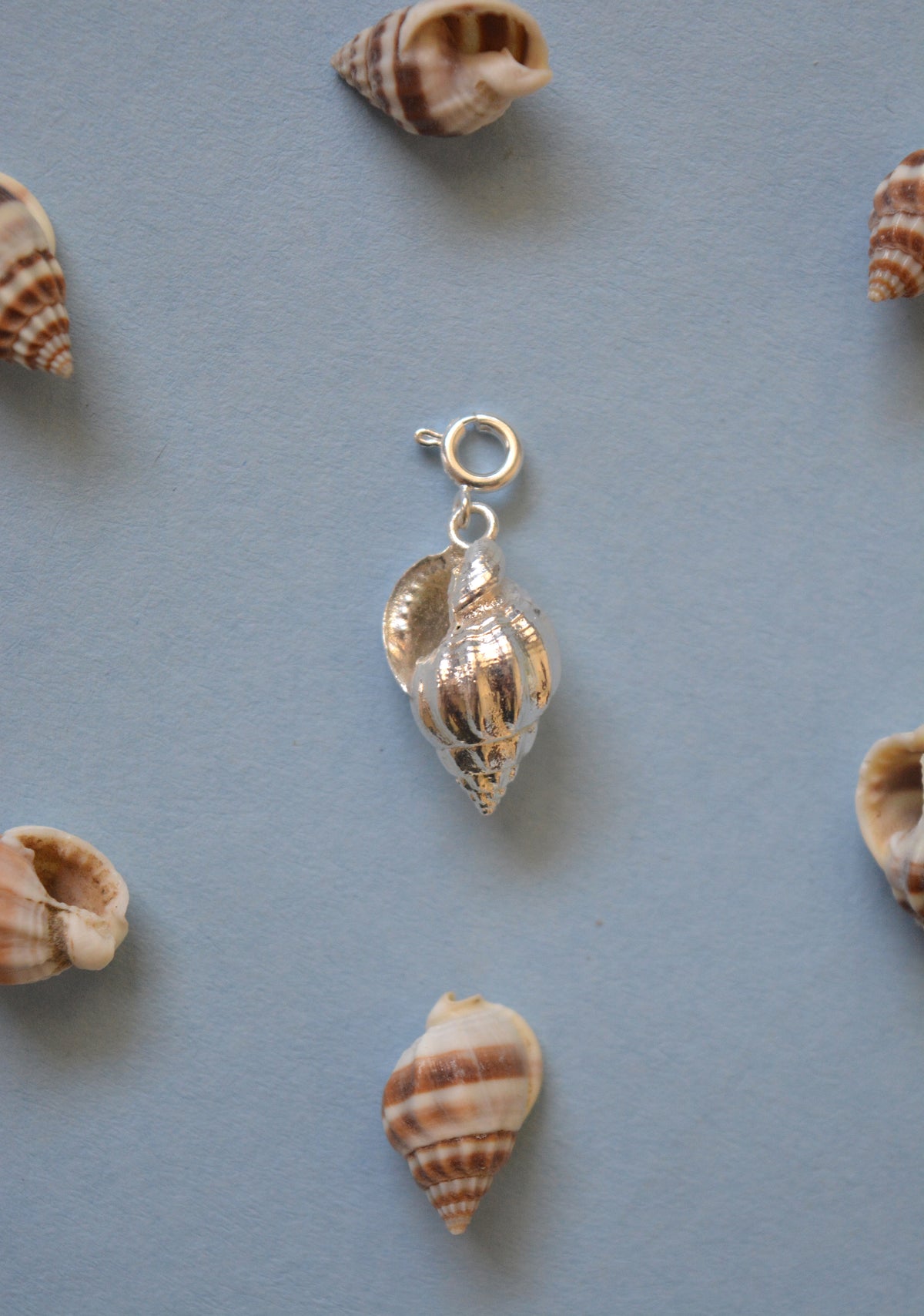 Dove Shell Charm - Silver – Tangerine Bio Jewelry