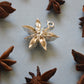 Star Anise Charm - Silver