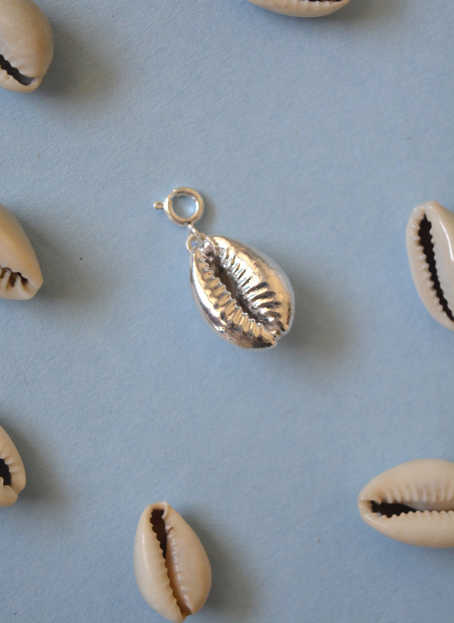 Cowrie Shell Charm - Silver