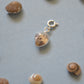 Sundial Shell Charm - Silver