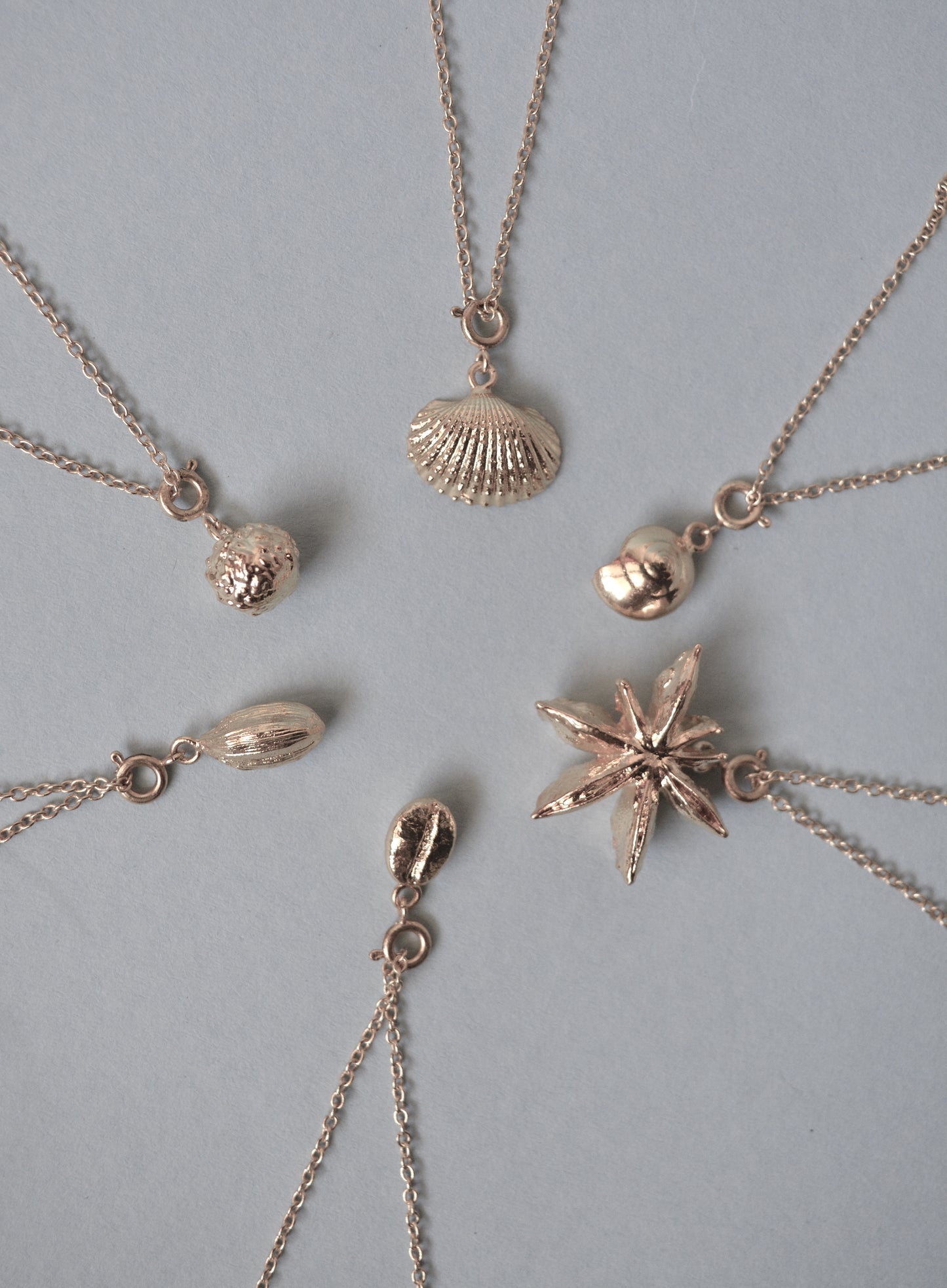 Sundial Shell Charm - Silver