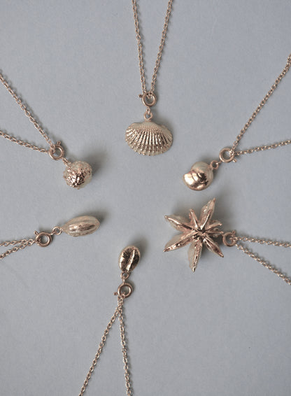 Sundial Shell Charm - Silver