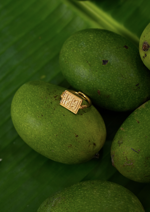 Ashwa Ring