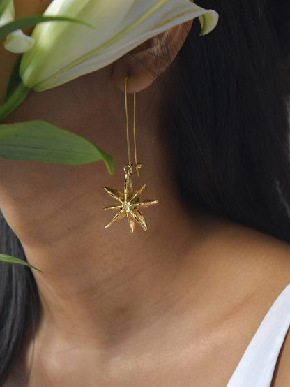 Star Earrings