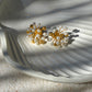 Pérola Studs
