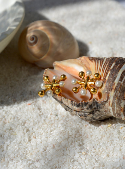 Narissa Ring
