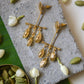 Cardamom Earrings