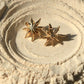 Star Studs