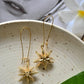 Star Earrings